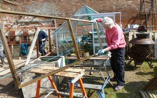 Preserving the wood of the brassica cages