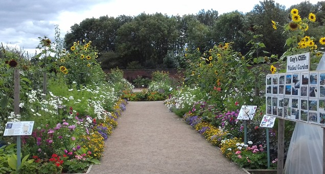 Flower display down central path
