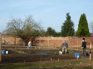 Clearing the beds on a sunny March day