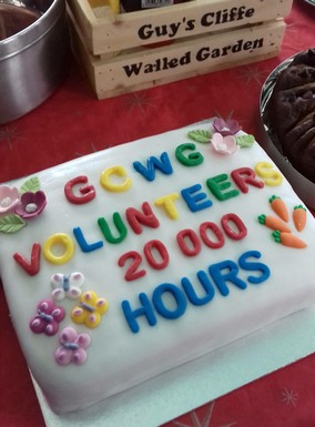 Celebrating 20,000 volunteer hours