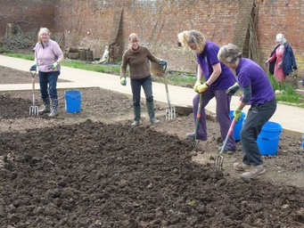Preparing beds for planting